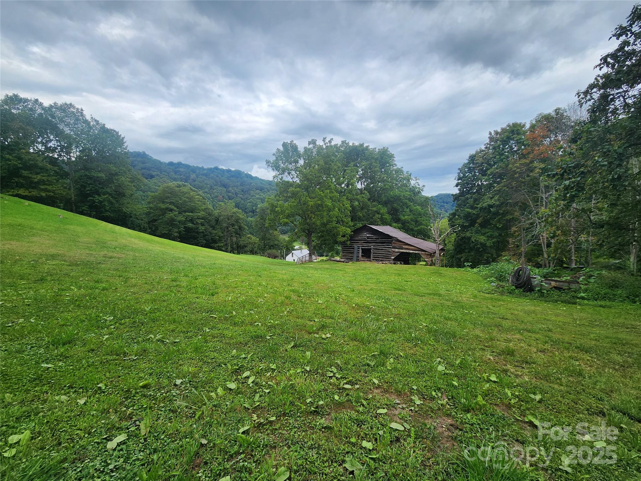 1925 South Fork Road Marshall, NC 28753 - Photo 13 of 42 a view of an house with backyard space and garden
