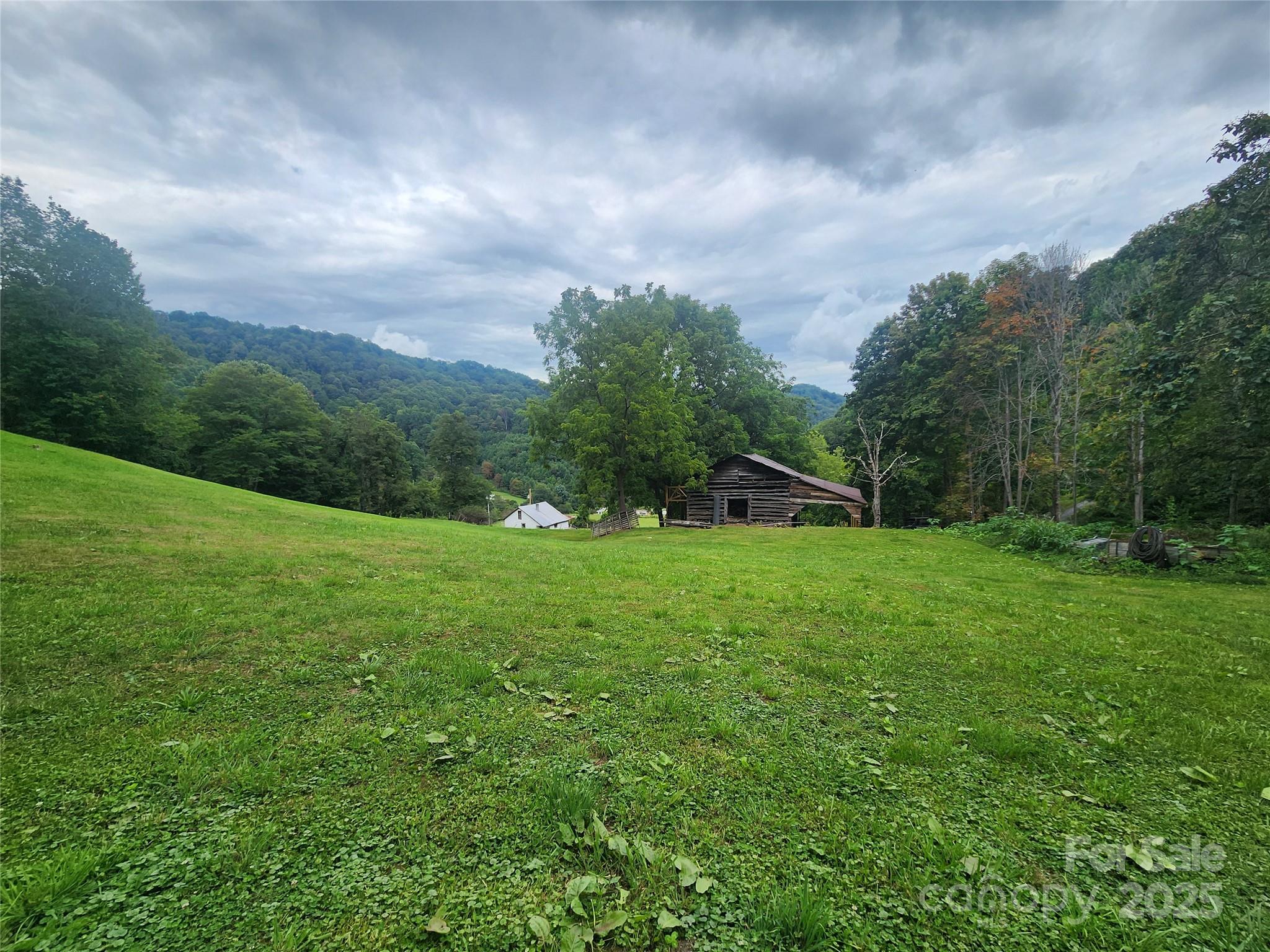 1925 South Fork Road Marshall, NC 28753 - Photo 15 of 42 a view of a green field with wooden fence