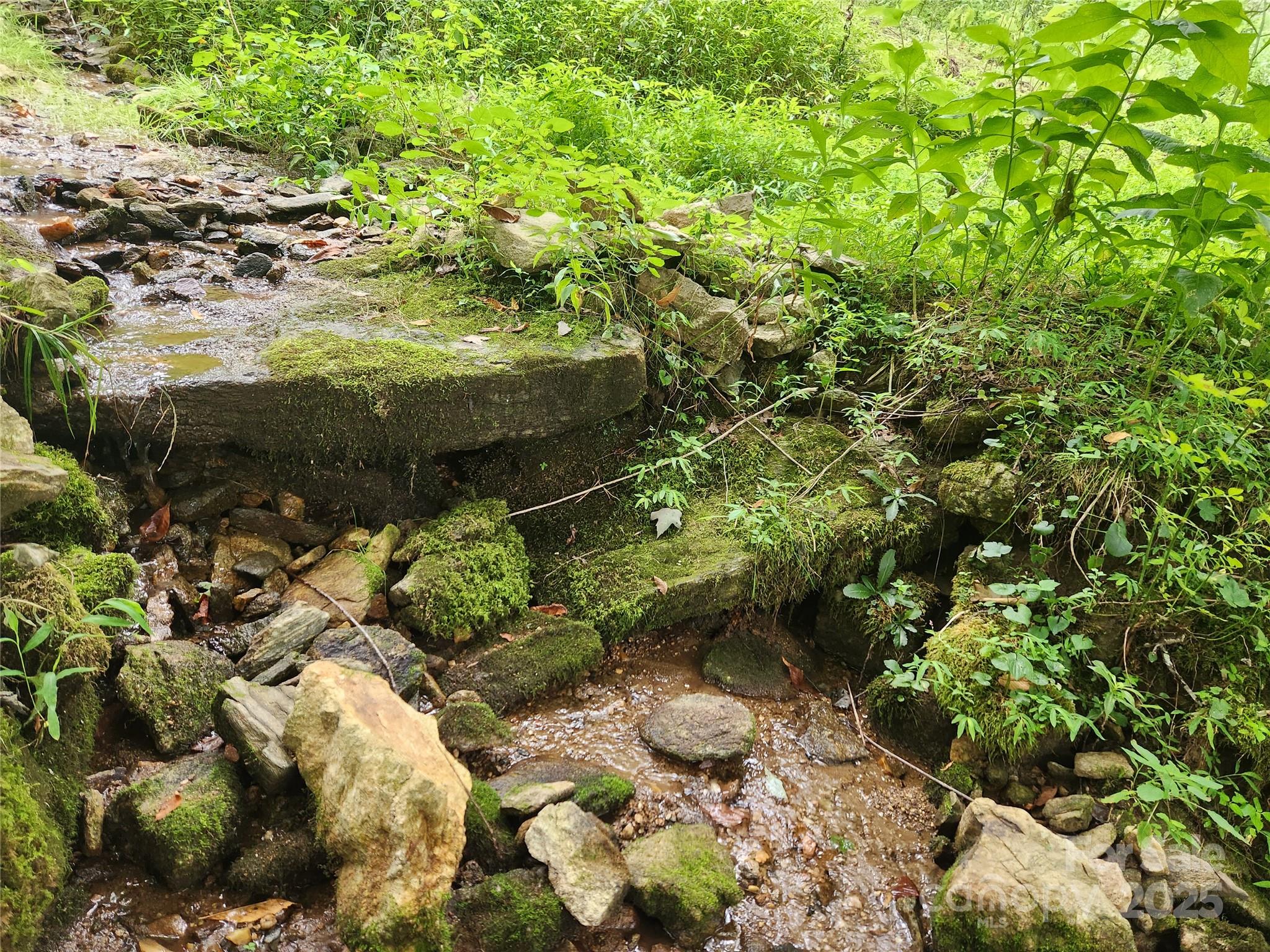 1925 South Fork Road Marshall, NC 28753 - Photo 18 of 42 a view of a garden with plants