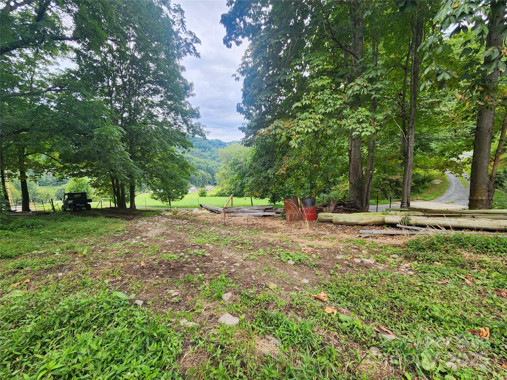 1925 South Fork Road Marshall, NC 28753 - Photo 25 of 42 a view of a tree in the middle of a yard