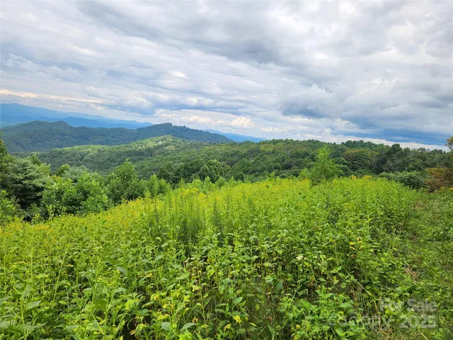 a view of a green field