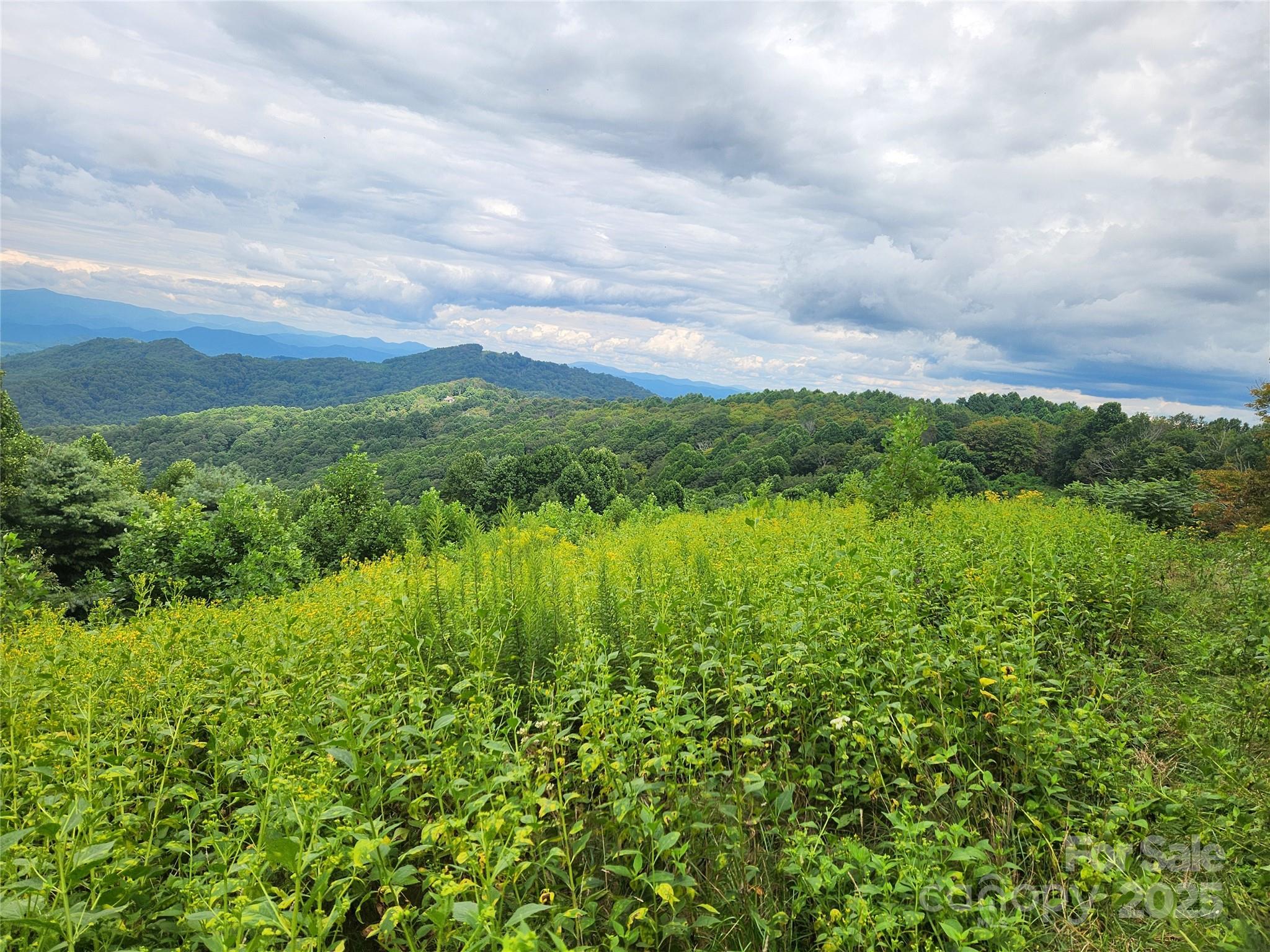 1925 South Fork Road Marshall, NC 28753 - Photo 26 of 42 a view of a lake with a yard