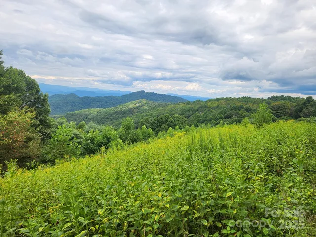 a view of a green yard
