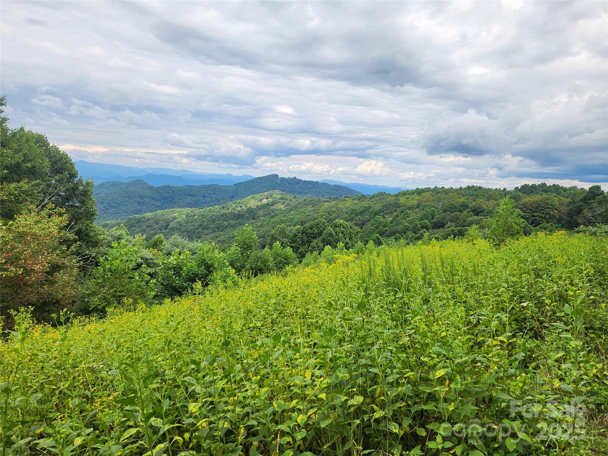 1925 South Fork Road Marshall, NC 28753 - Photo 28 of 42