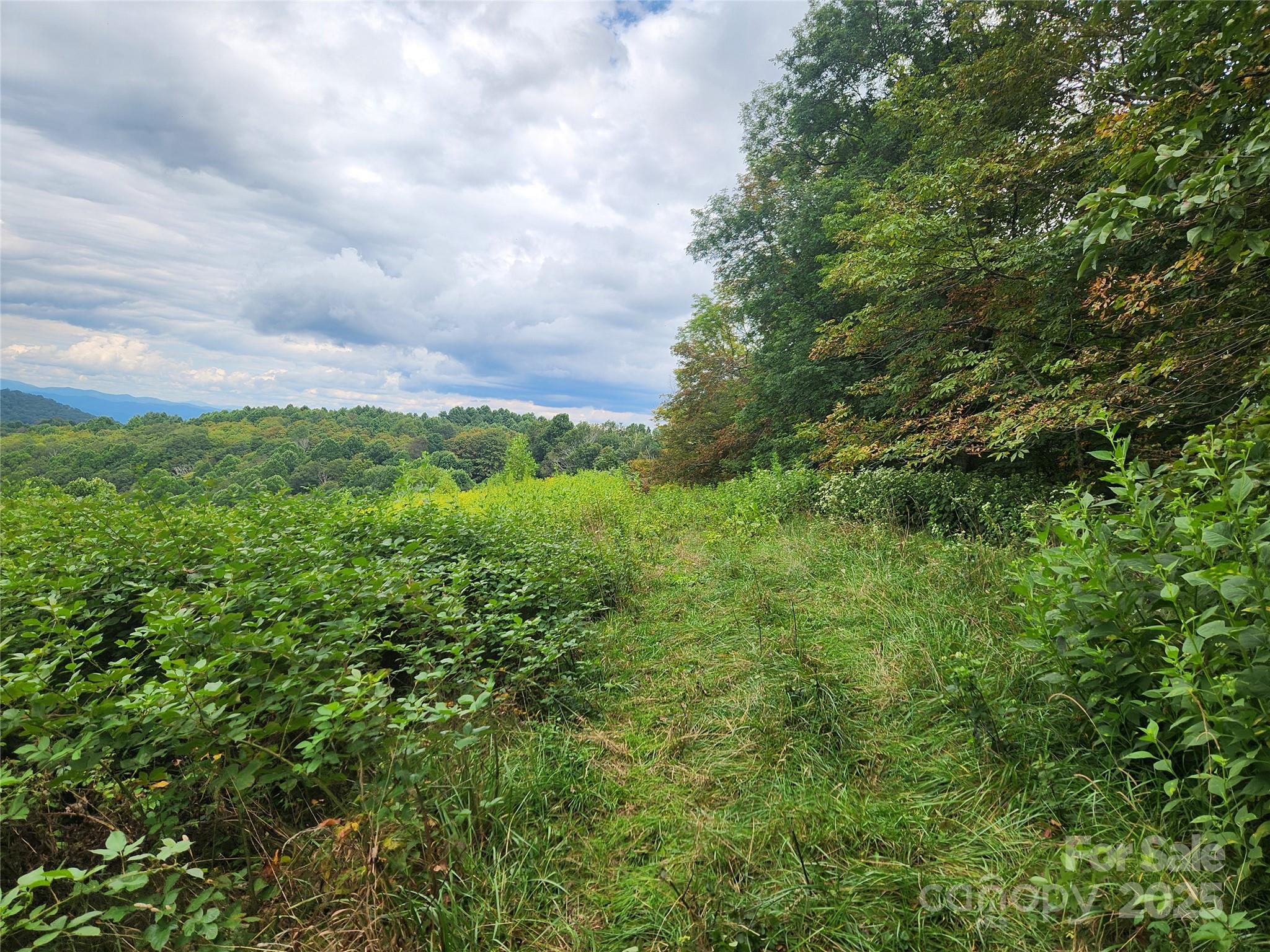 1925 South Fork Road Marshall, NC 28753 - Photo 29 of 42 a view of a green field