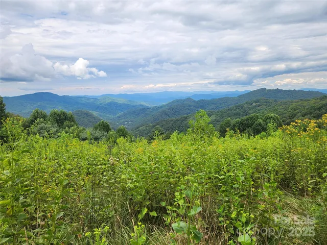 a view of a lake and green field