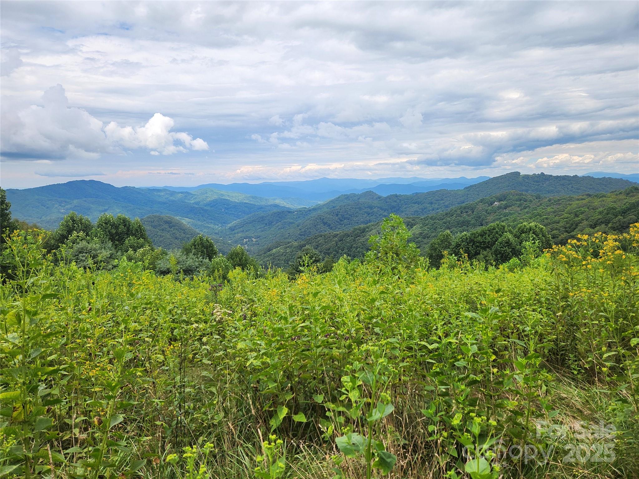 1925 South Fork Road Marshall, NC 28753 - Photo 30 of 42 a view of a lush green outdoor space with a lake view