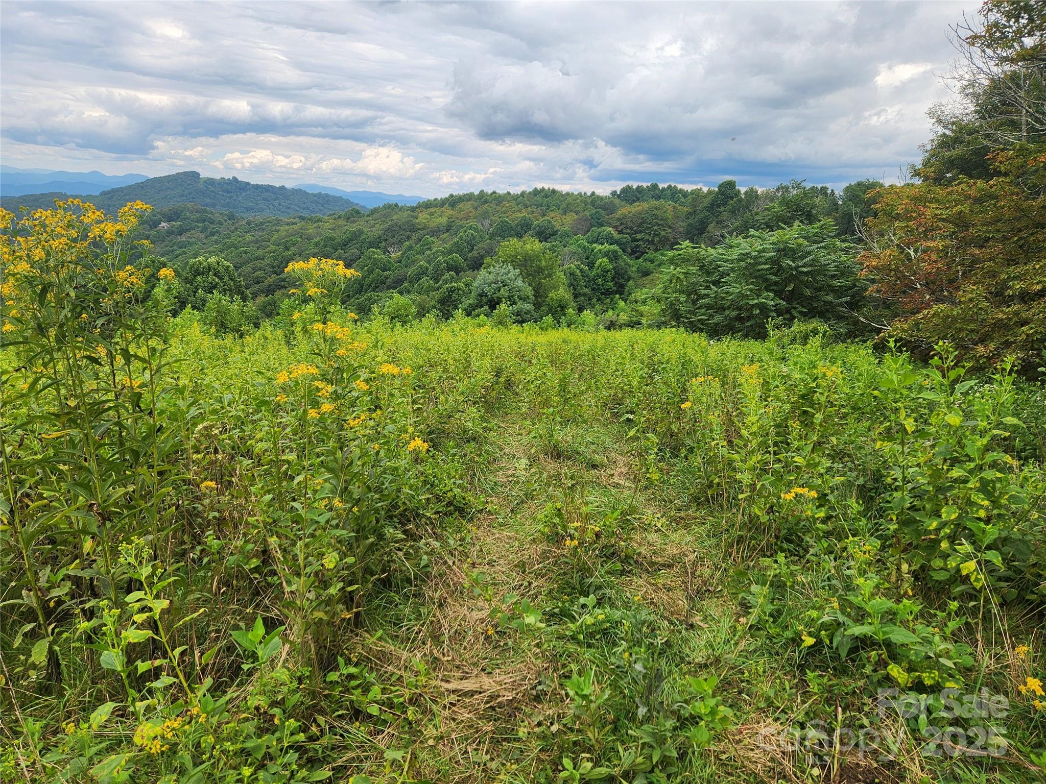 1925 South Fork Road Marshall, NC 28753 - Photo 31 of 42 a view of a green yard