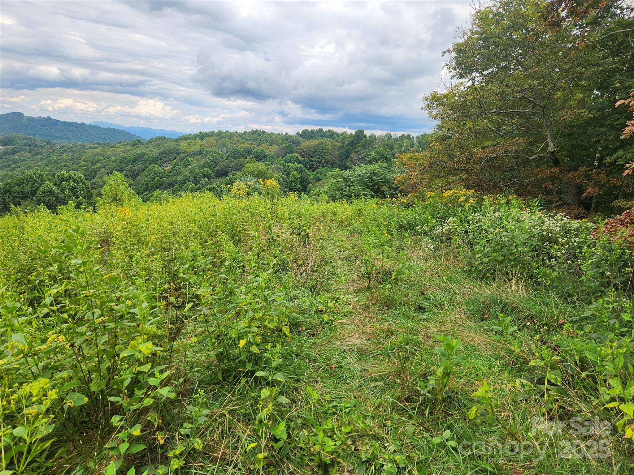 1925 South Fork Road Marshall, NC 28753 - Photo 33 of 42 a view of a lake and green field