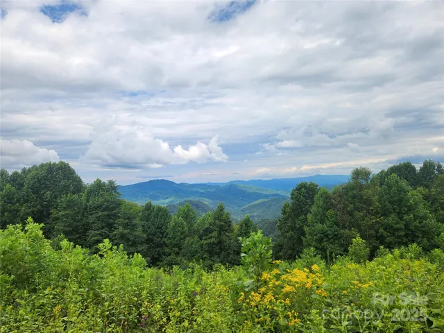 a view of a city and lush green forest