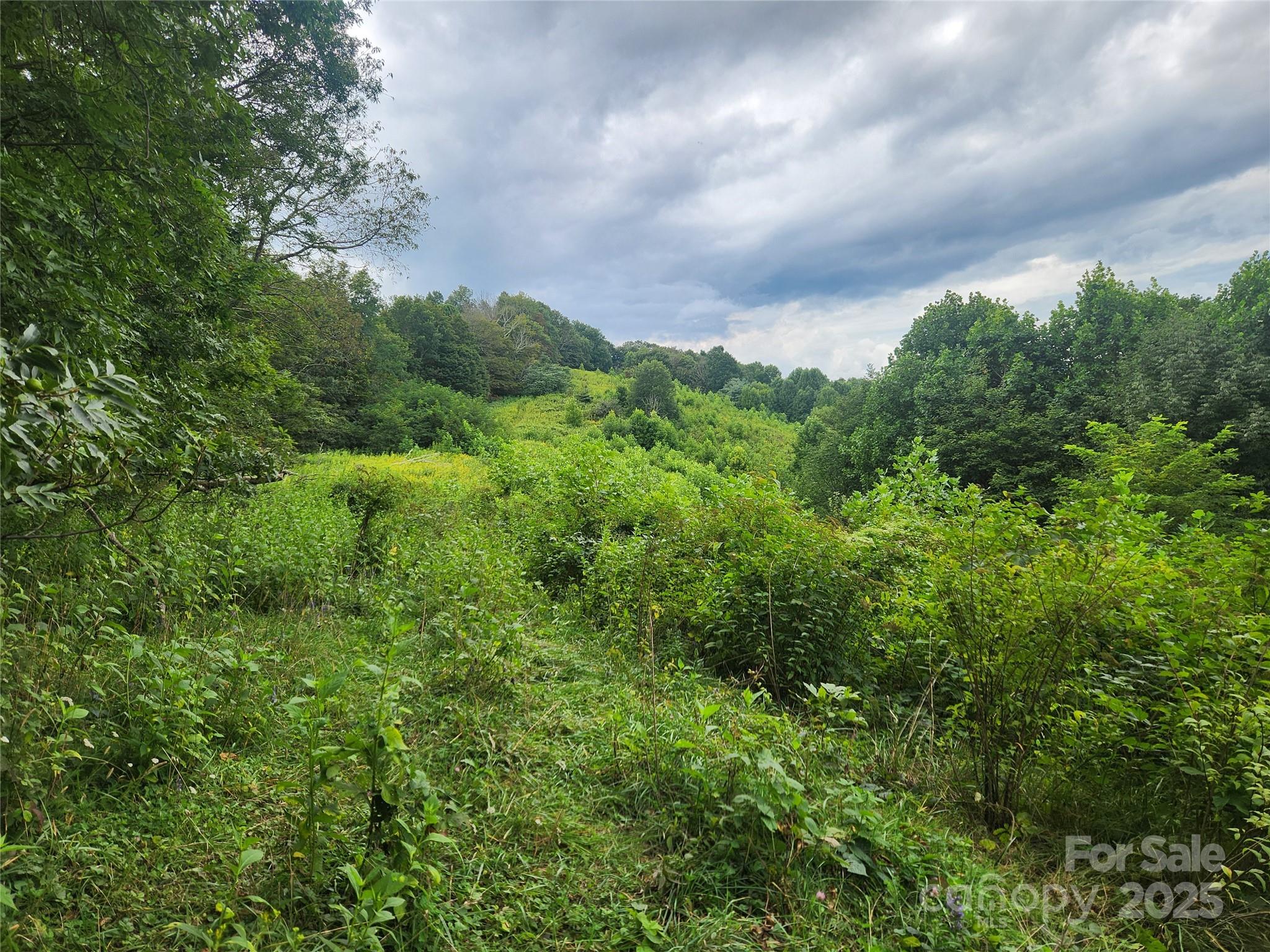 1925 South Fork Road Marshall, NC 28753 - Photo 42 of 42 a view of a city and lush green forest