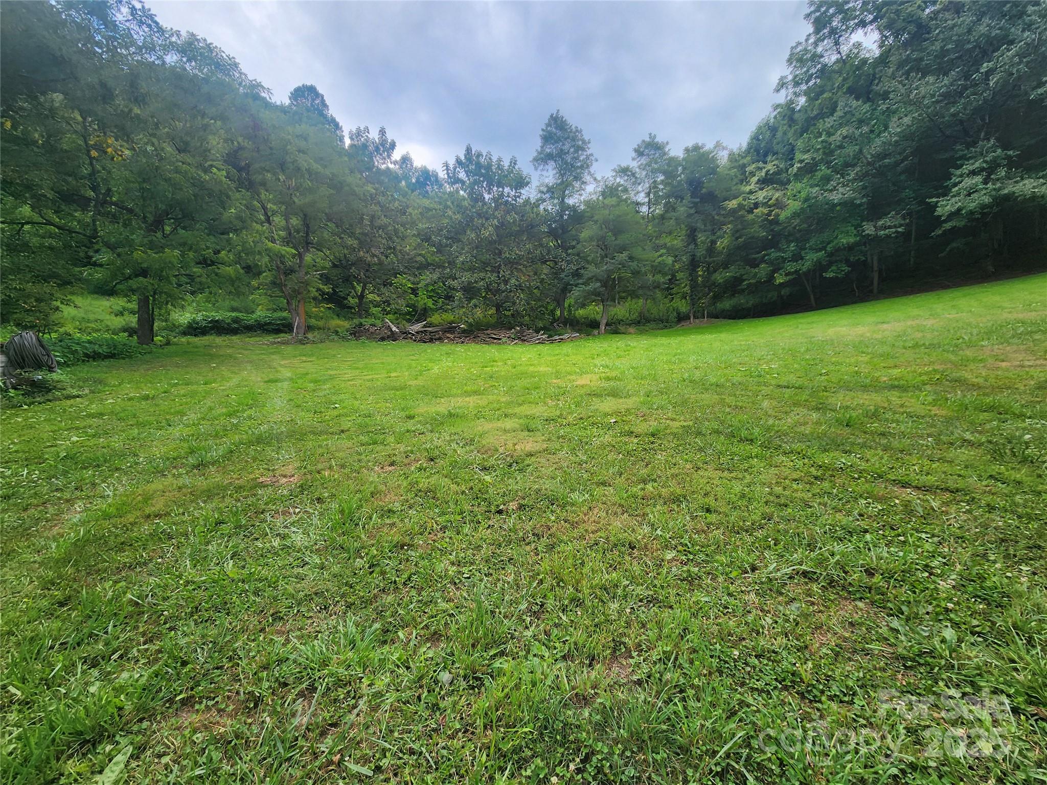 1925 South Fork Road Marshall, NC 28753 - Photo 5 of 42 a view of yard with green space