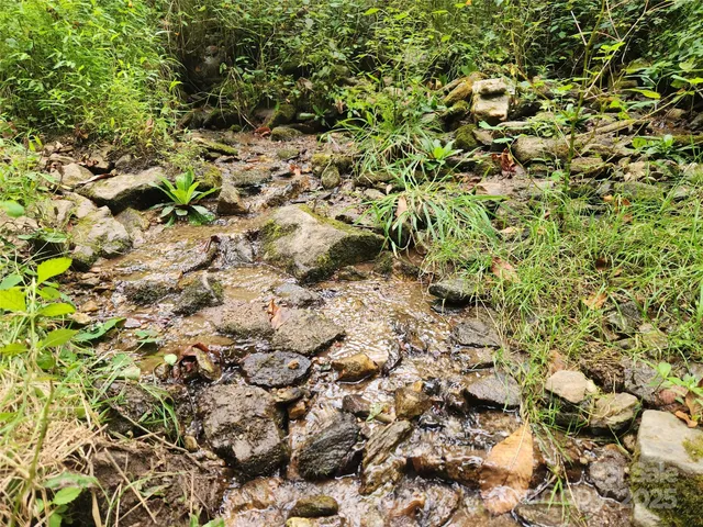 a view of a yard with plants and trees