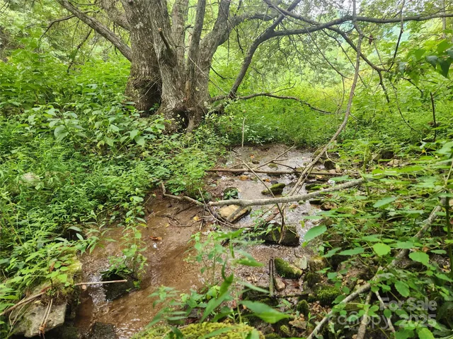 a view of a garden with a bench