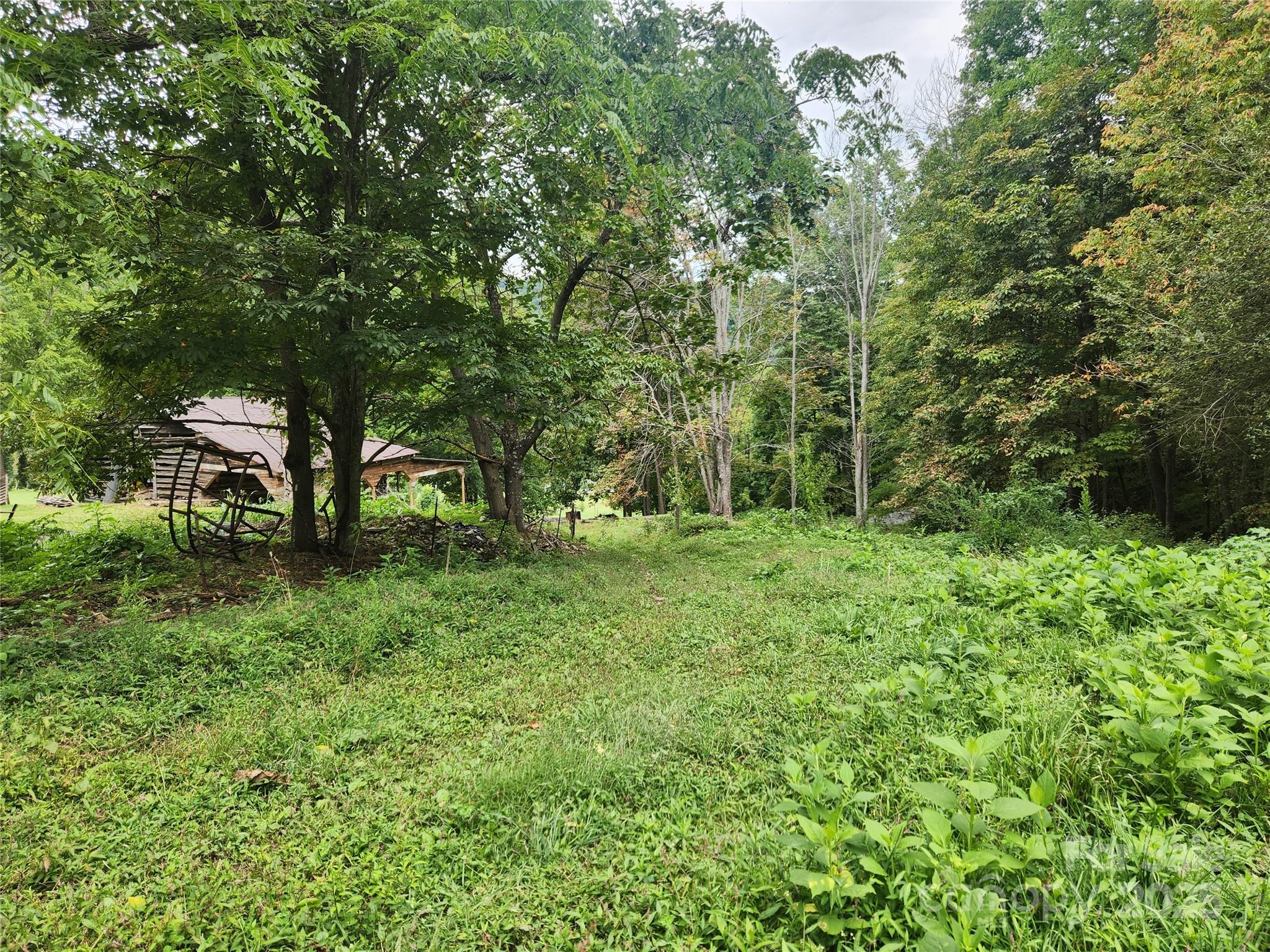 1925 South Fork Road Marshall, NC 28753 - Photo 8 of 42 a view of a garden with a bench