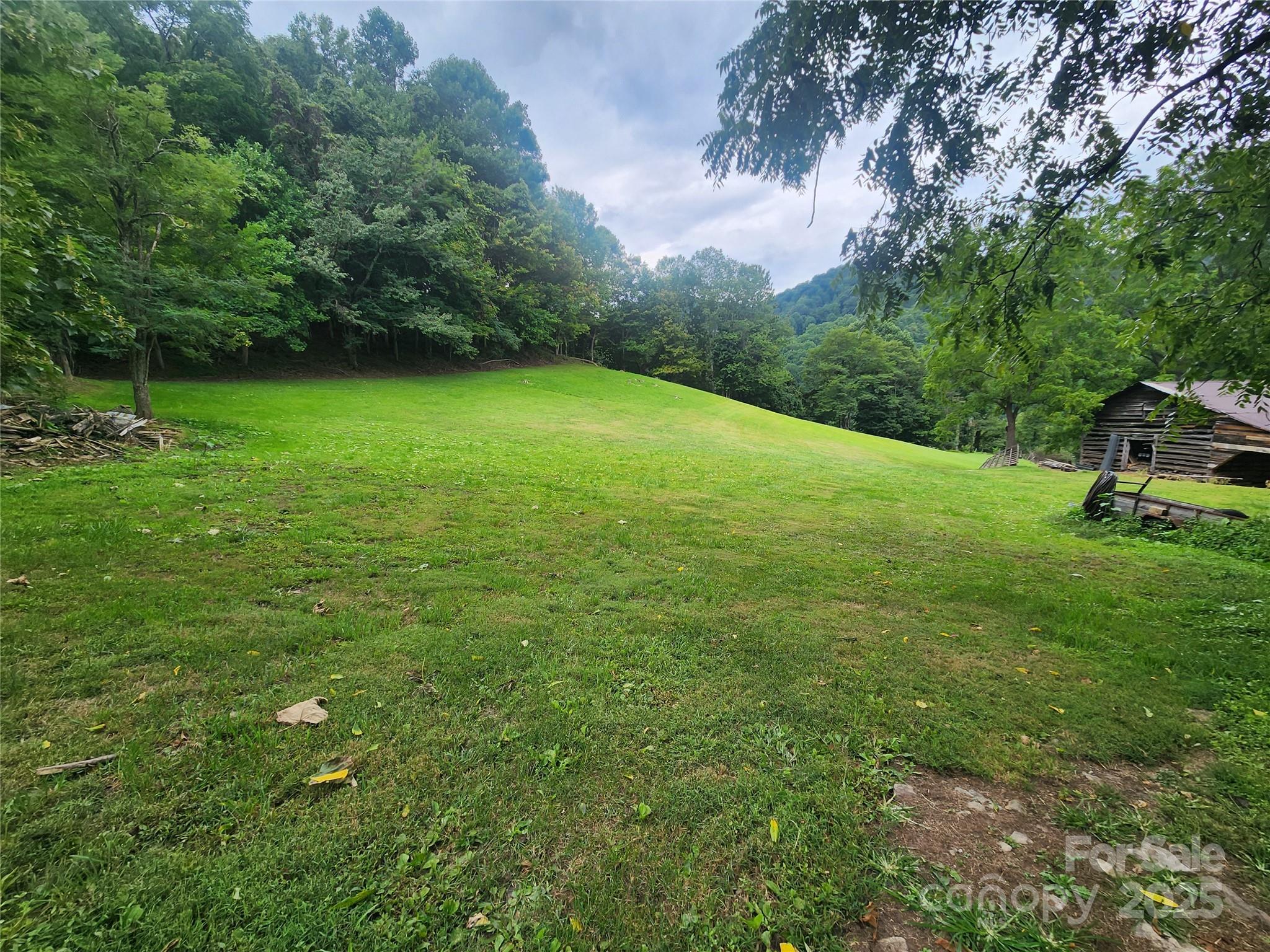 1925 South Fork Road Marshall, NC 28753 - Photo 9 of 42 a view of a green field with trees