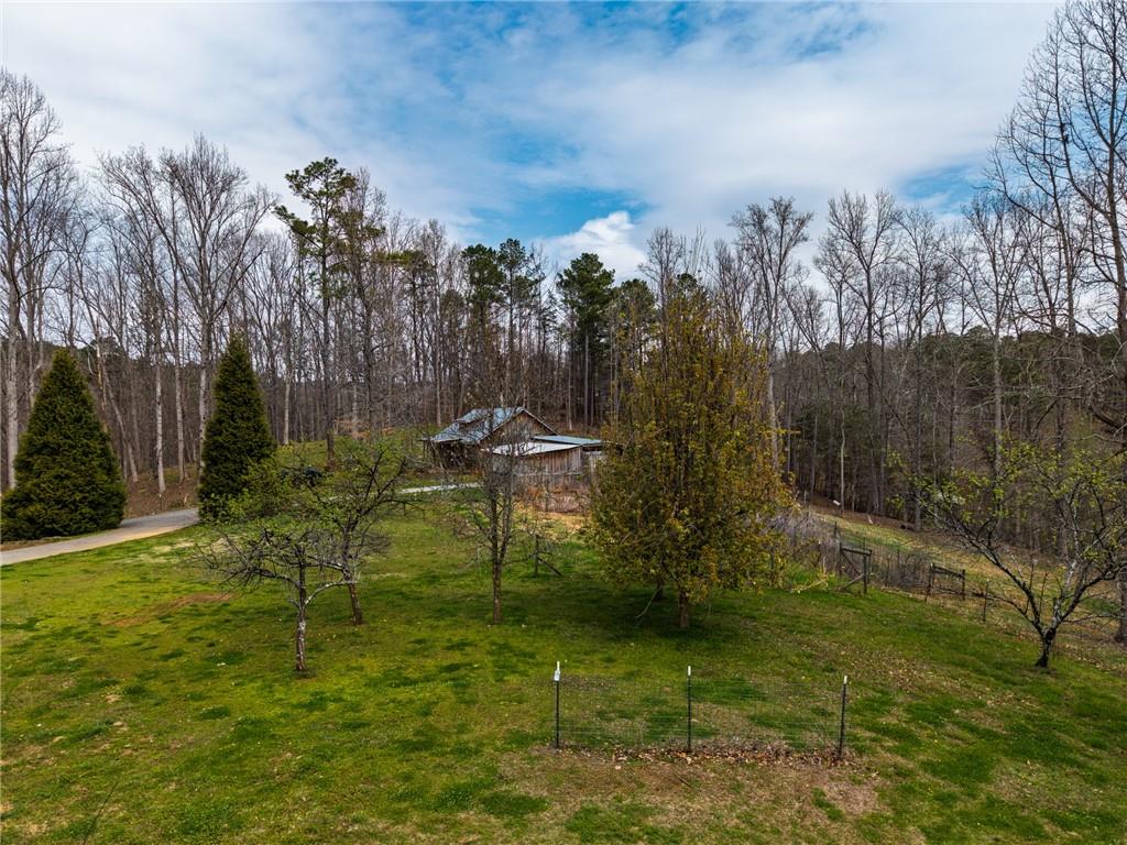 723 Sulphur Springs Road Southeast Fairmount, GA 30139 - Photo 40 of 54 a view of outdoor space and yard