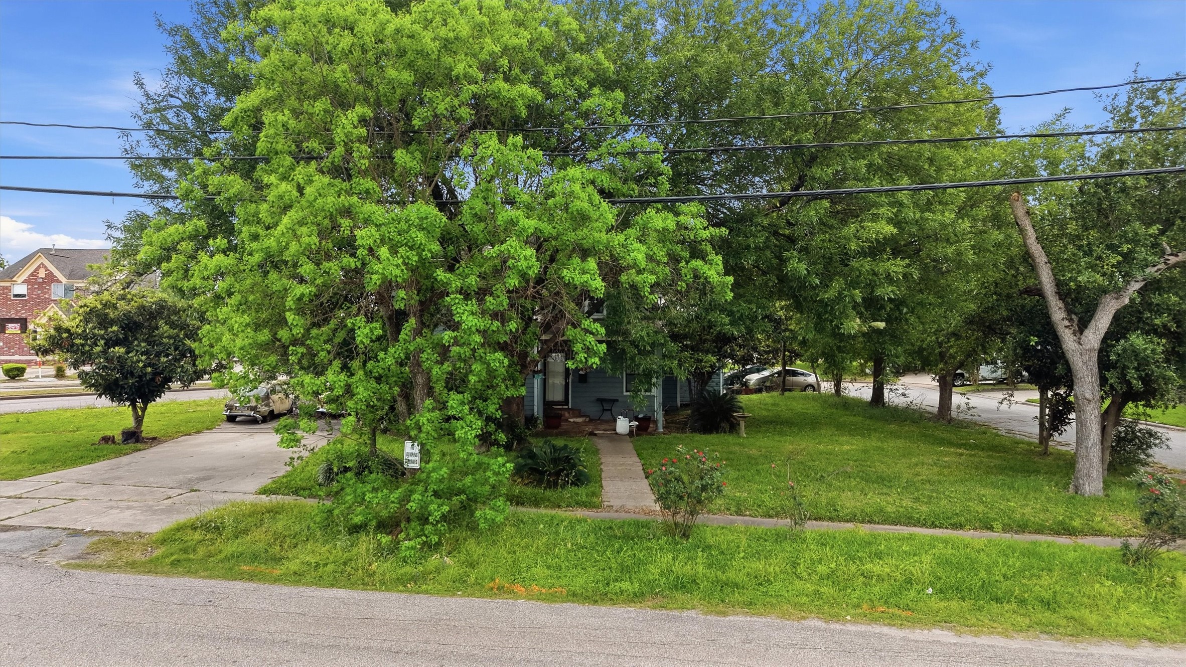 7002 Myrtle Street Houston, TX 77087 - Photo 4 of 14 Established Grounds: Large Lot featuring Mature Trees and Substantial Private Buffer.