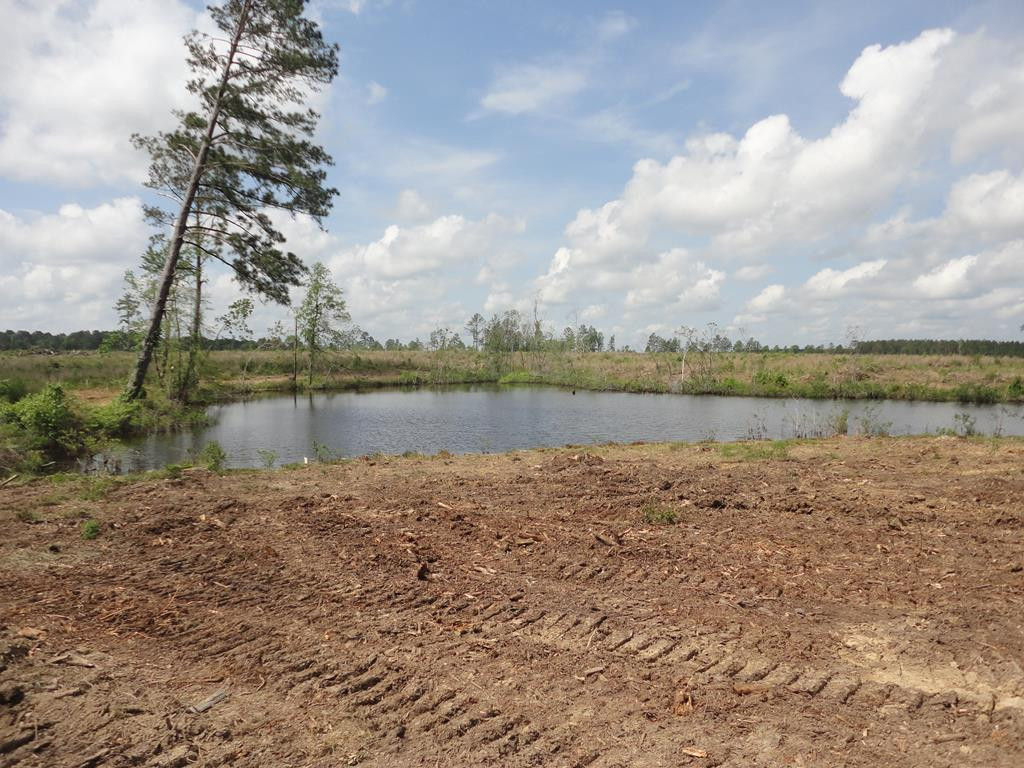 0 Wildwood Lane Southeast Ruth, MS 39662 - Photo 1 of 19 Main View