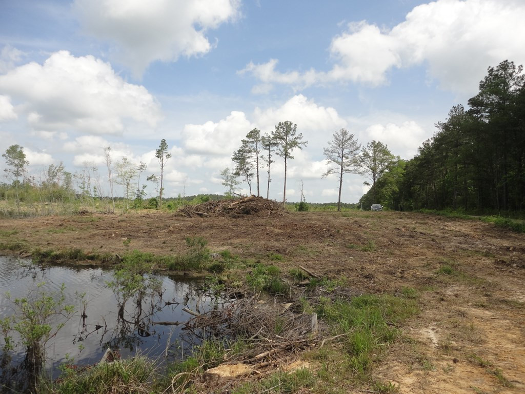 0 Wildwood Lane Southeast Ruth, MS 39662 - Photo 11 of 19 Photo 11