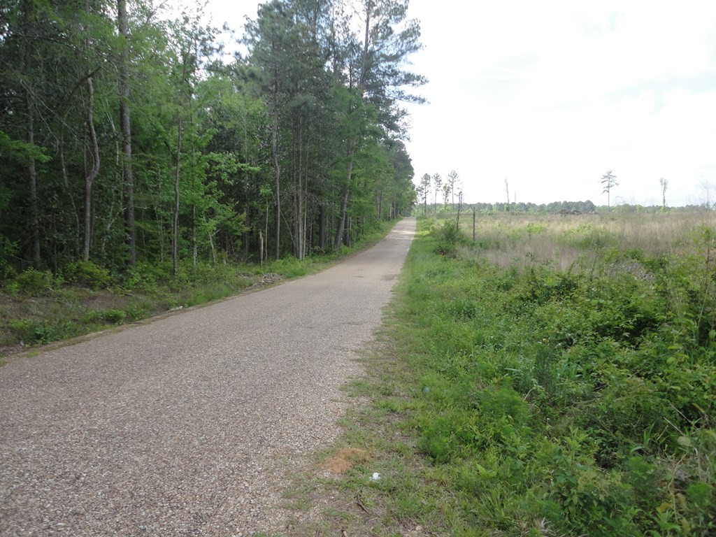 0 Wildwood Lane Southeast Ruth, MS 39662 - Photo 12 of 19 Photo 12