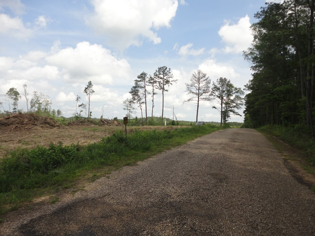 0 Wildwood Lane Southeast Ruth, MS 39662 - Photo 13 of 19 Photo 13