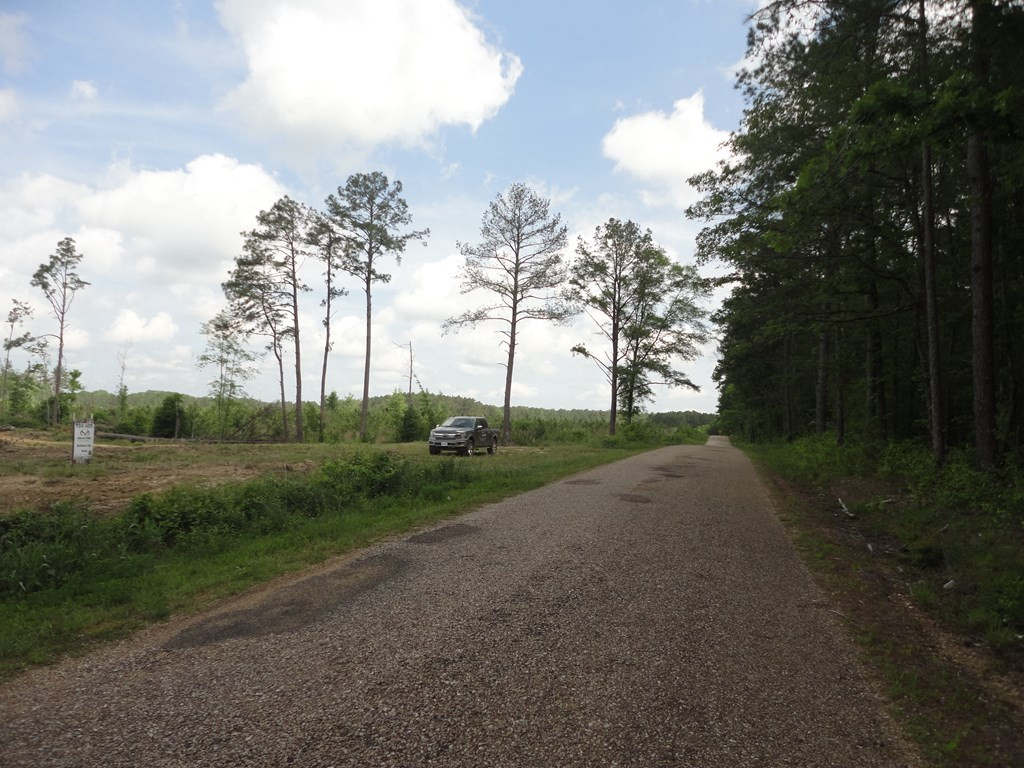 0 Wildwood Lane Southeast Ruth, MS 39662 - Photo 14 of 19 Photo 14