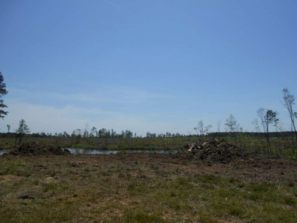 0 Wildwood Lane Southeast Ruth, MS 39662 - Photo 15 of 19 Photo 15