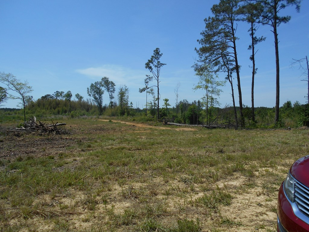0 Wildwood Lane Southeast Ruth, MS 39662 - Photo 16 of 19 Photo 16