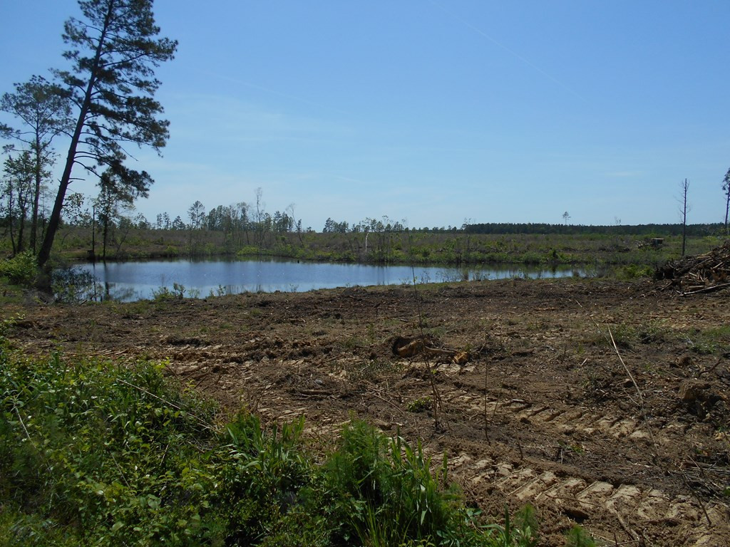 0 Wildwood Lane Southeast Ruth, MS 39662 - Photo 17 of 19 Photo 17