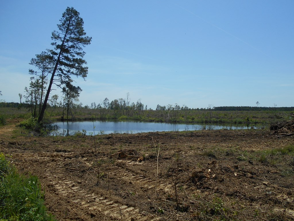0 Wildwood Lane Southeast Ruth, MS 39662 - Photo 18 of 19 Photo 18