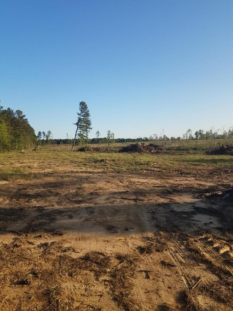 0 Wildwood Lane Southeast Ruth, MS 39662 - Photo 2 of 19 Photo 2
