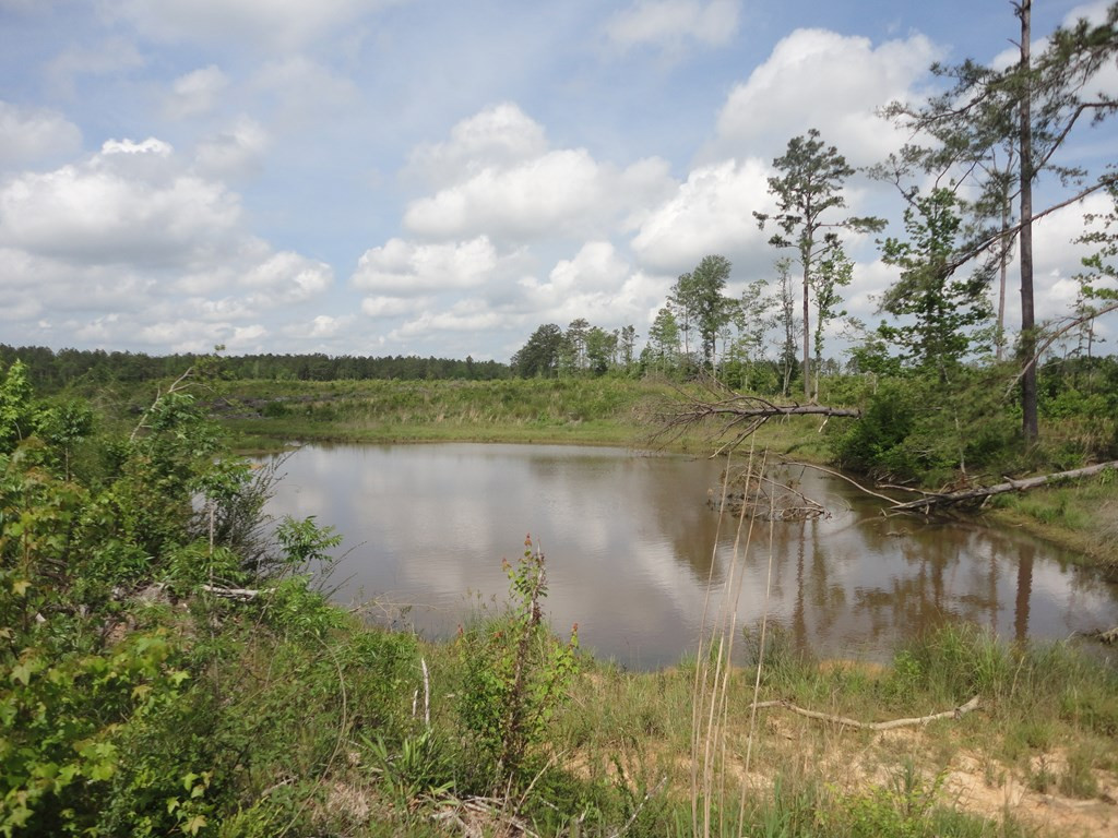 0 Wildwood Lane Southeast Ruth, MS 39662 - Photo 3 of 19 Photo 3