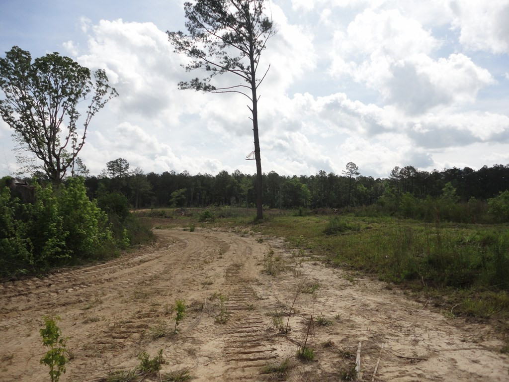 0 Wildwood Lane Southeast Ruth, MS 39662 - Photo 4 of 19 Photo 4