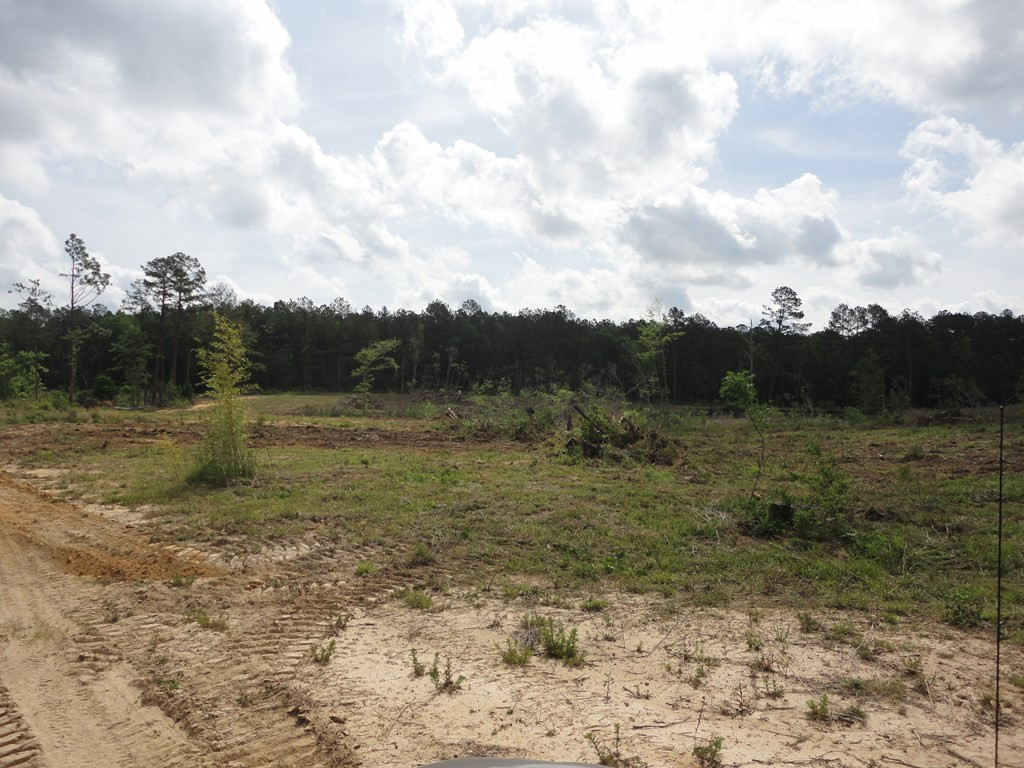 0 Wildwood Lane Southeast Ruth, MS 39662 - Photo 5 of 19 Photo 5