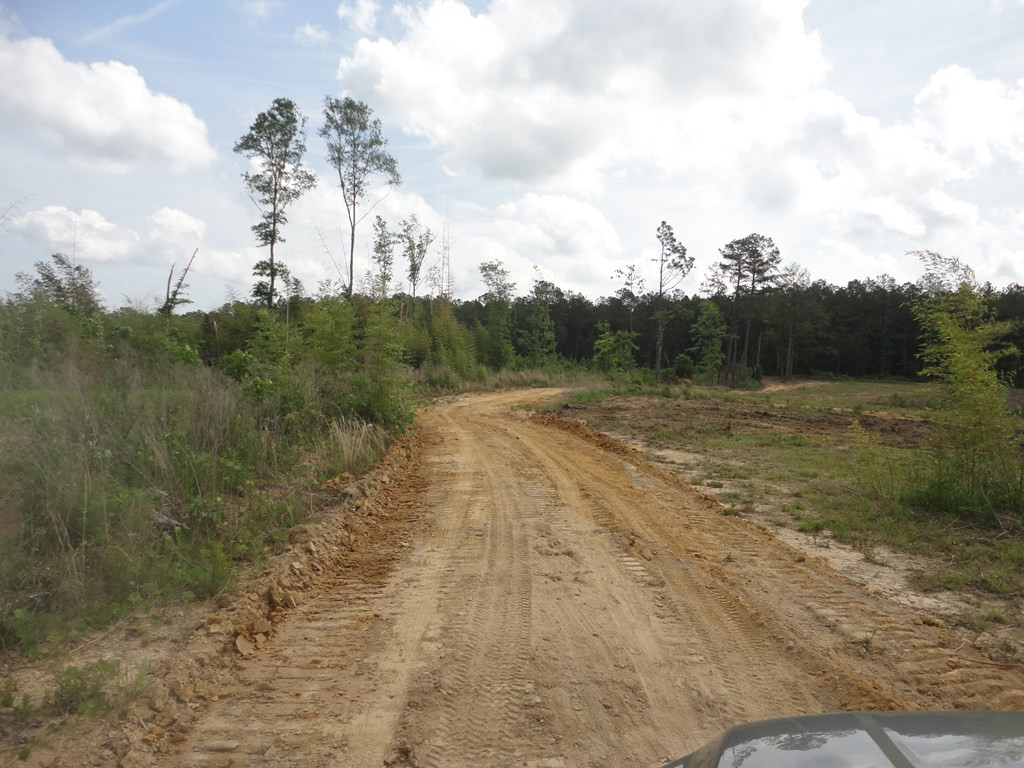 0 Wildwood Lane Southeast Ruth, MS 39662 - Photo 6 of 19 Photo 6