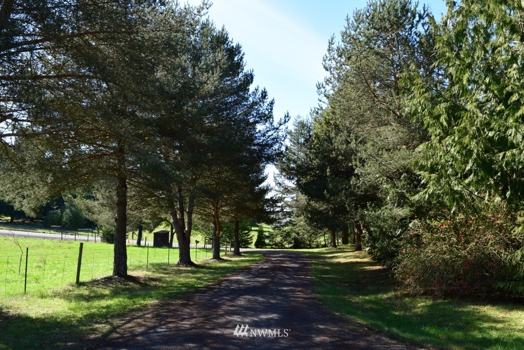 318 Kruger Road Onalaska, WA 98570 - Photo 8 of 25