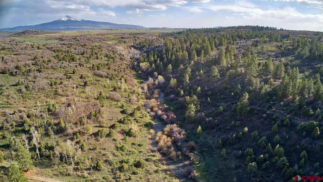 $174,500 | Tbd Gurley Lake, Norwood, CO 81423