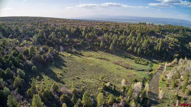 $174,500 | Tbd Gurley Lake, Norwood, CO 81423