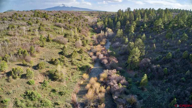 $174,500 | Tbd Gurley Lake, Norwood, CO 81423