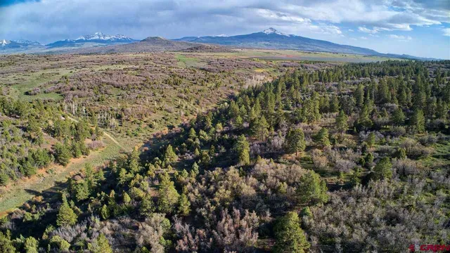 $174,500 | Tbd Gurley Lake, Norwood, CO 81423