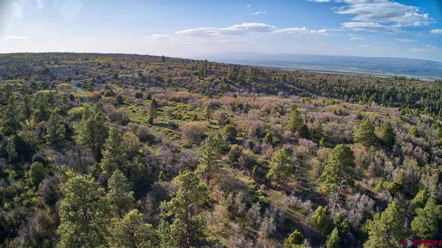 $174,500 | Tbd Gurley Lake, Norwood, CO 81423