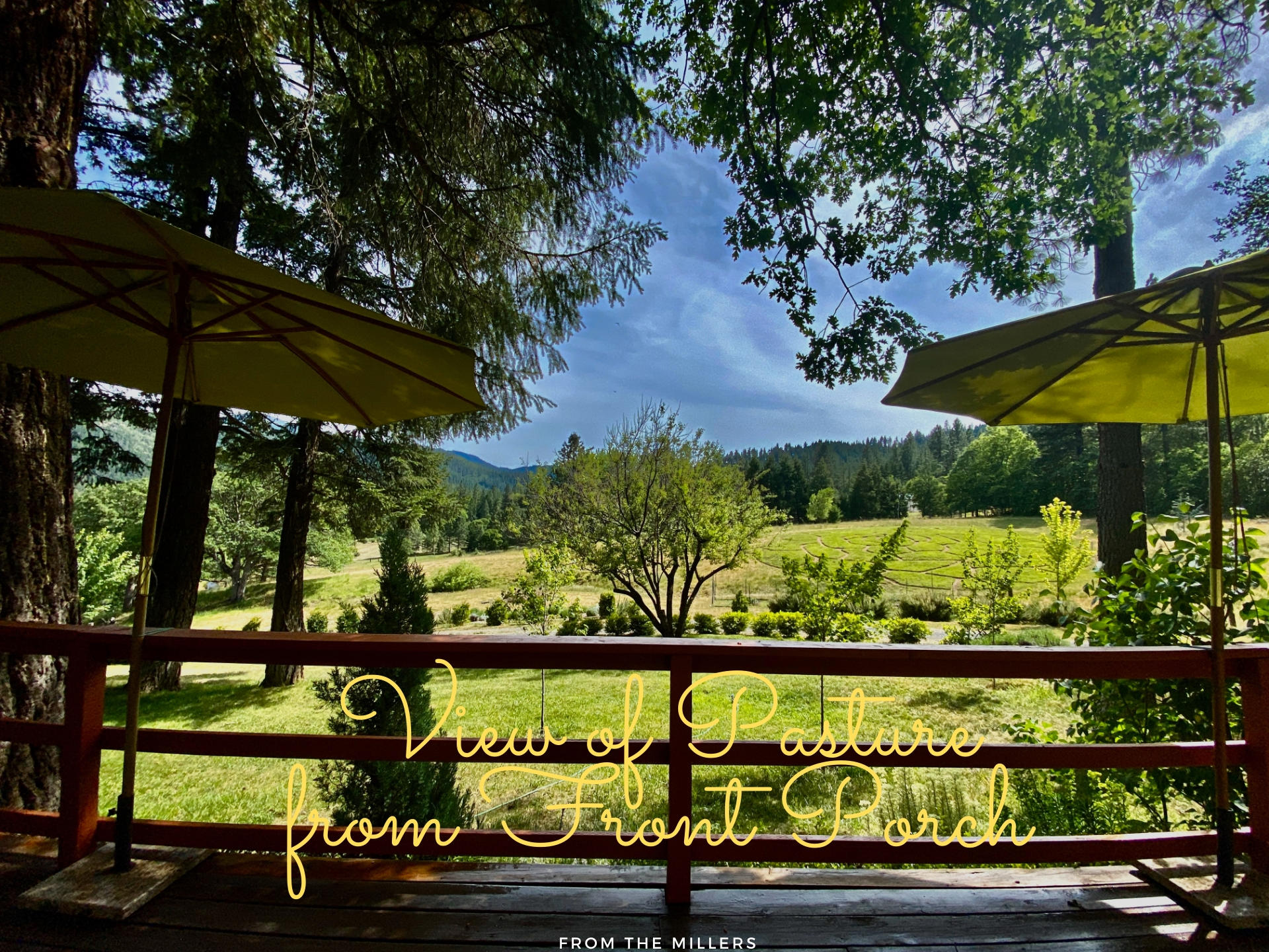 7620 Upper Applegate Road Jacksonville, OR 97530 - Photo 40 of 44 IMG_1255 (Canva-edited)