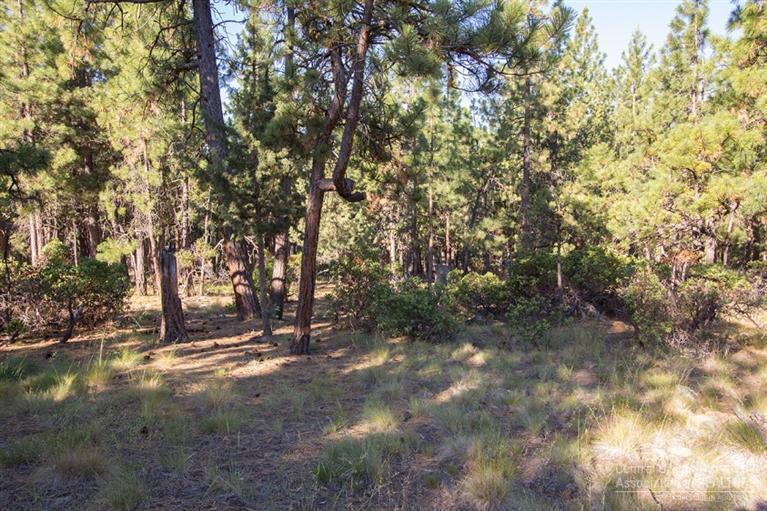 60195 Crater Road Bend, OR 97702 - Photo 4 of 9 a view of tree next to a yard