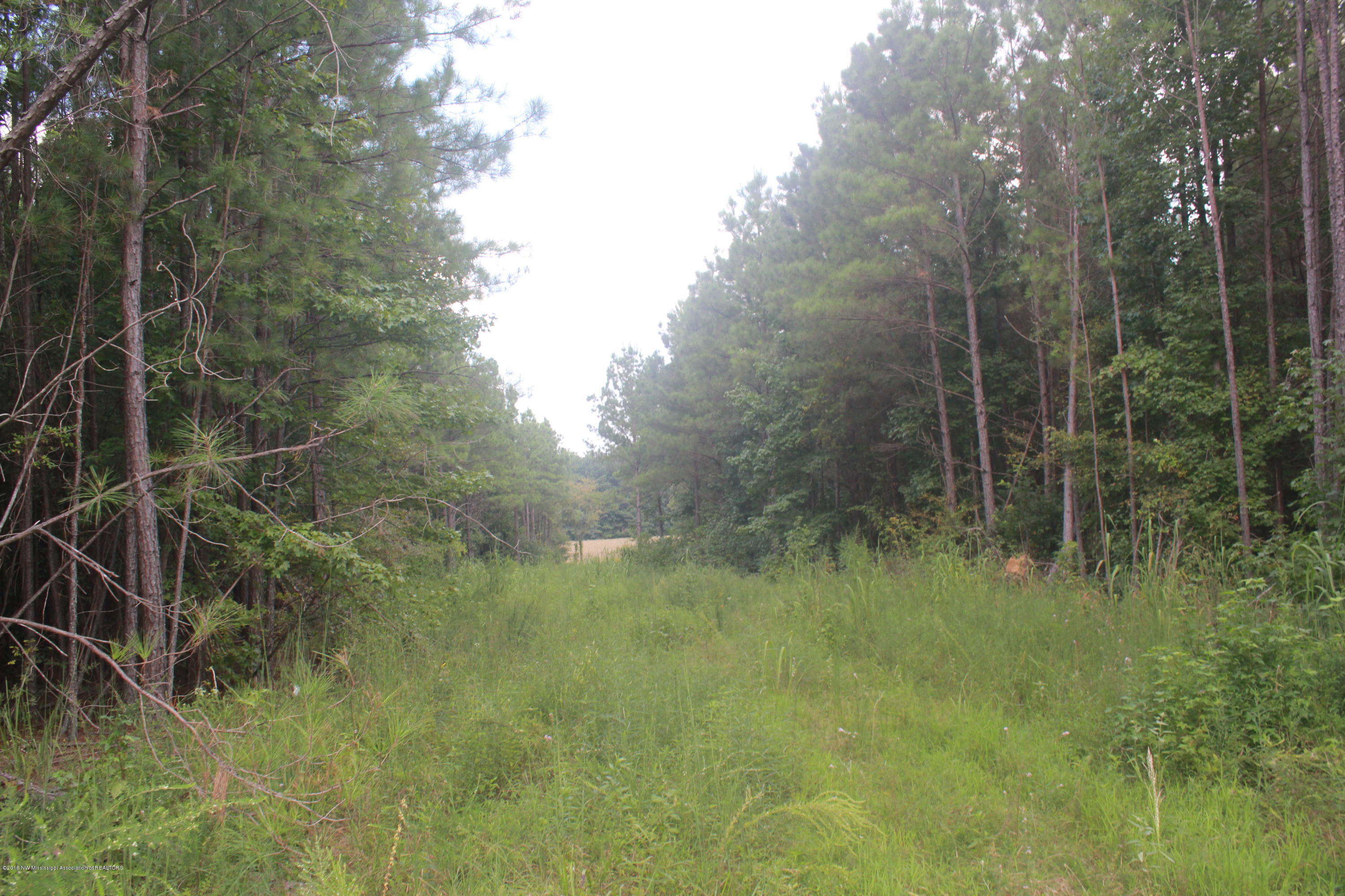 78 Springfield Road Senatobia, MS 38668 - Photo 11 of 30 144