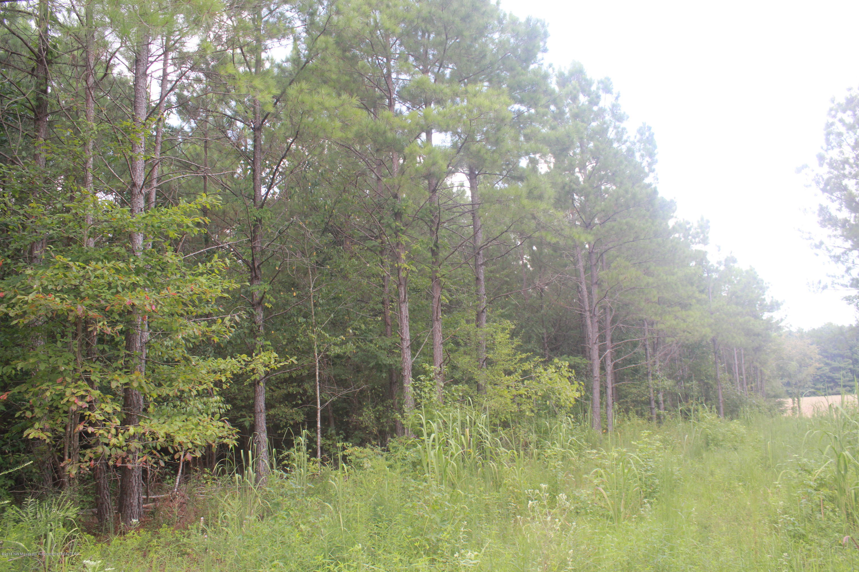 78 Springfield Road Senatobia, MS 38668 - Photo 12 of 30 145