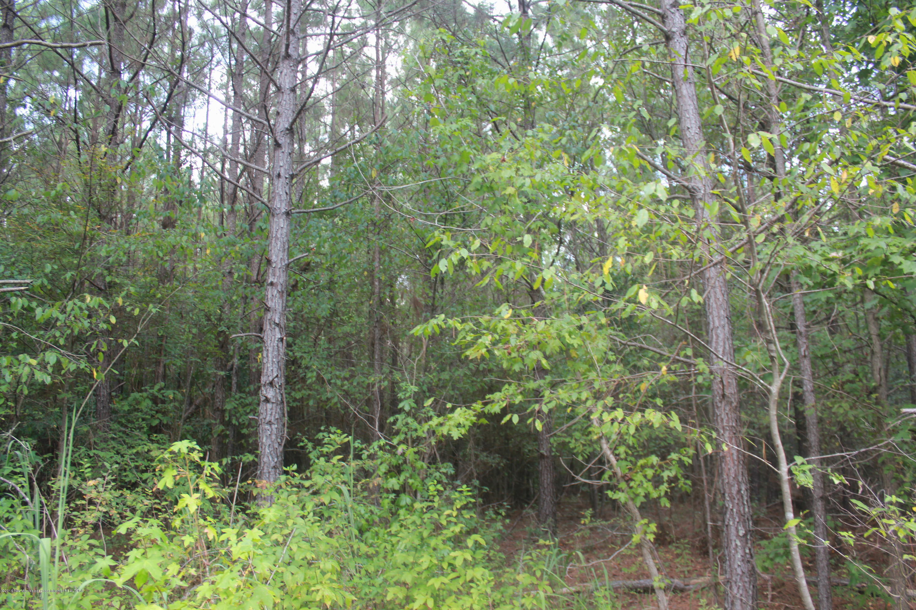 78 Springfield Road Senatobia, MS 38668 - Photo 13 of 30 146