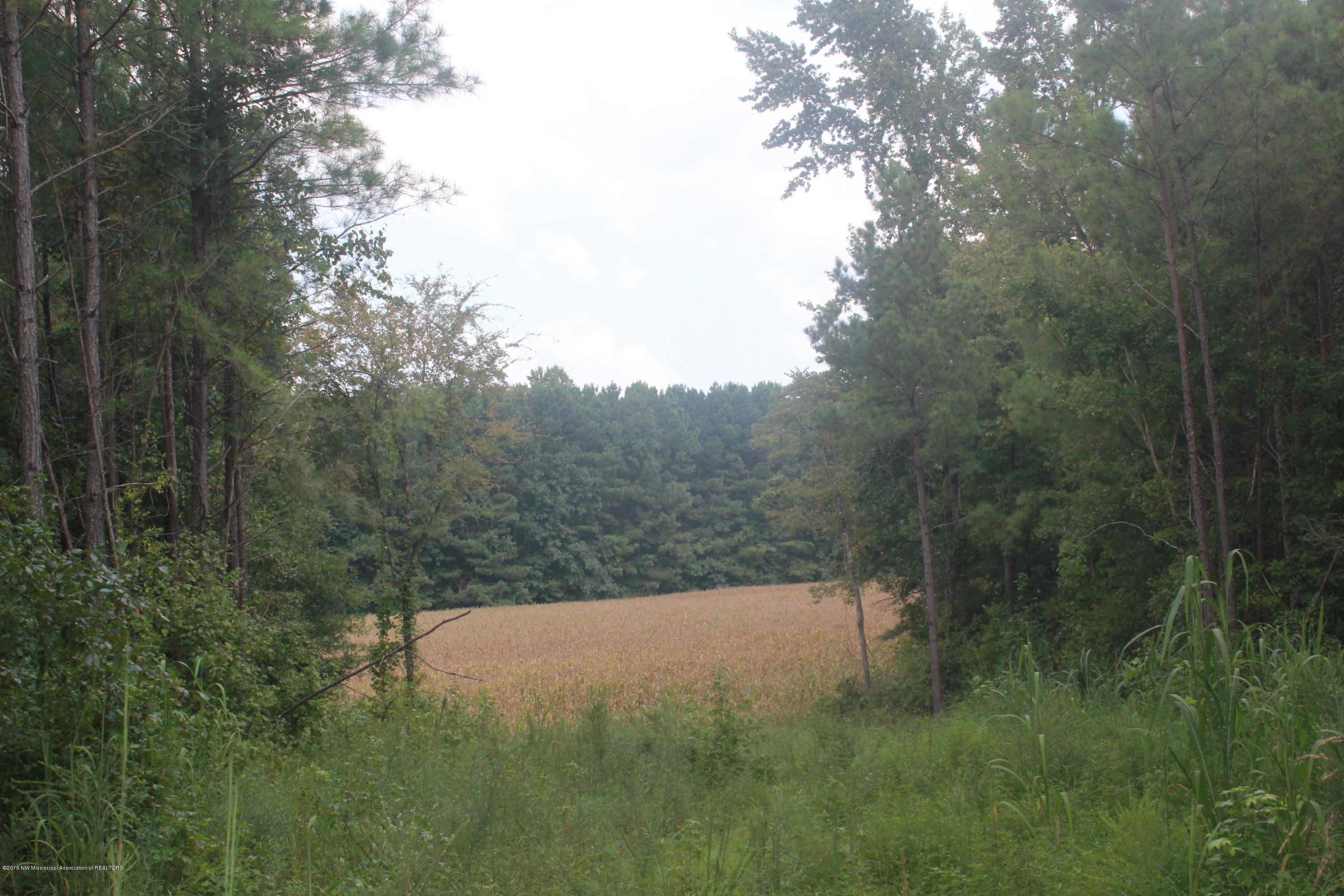 78 Springfield Road Senatobia, MS 38668 - Photo 14 of 30 147