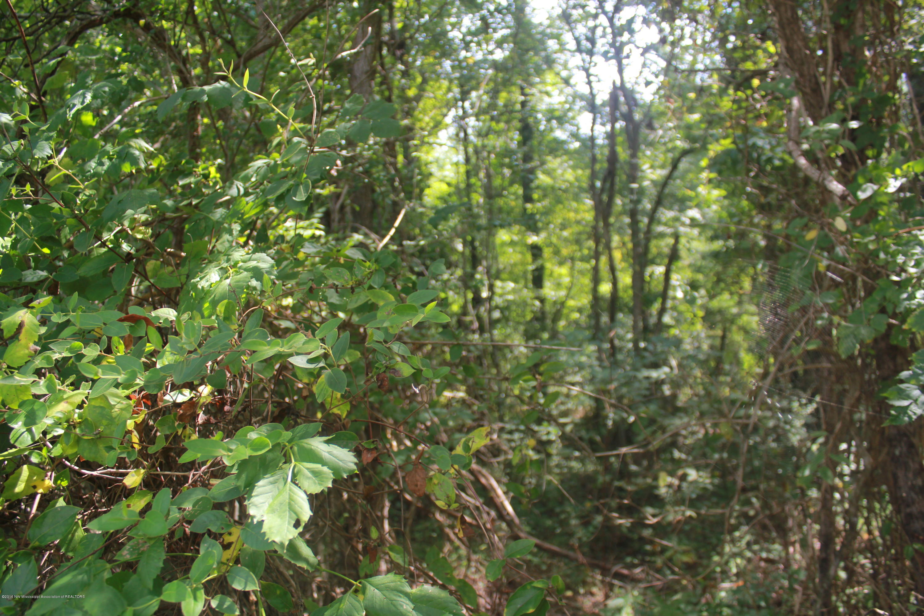 78 Springfield Road Senatobia, MS 38668 - Photo 20 of 30 153