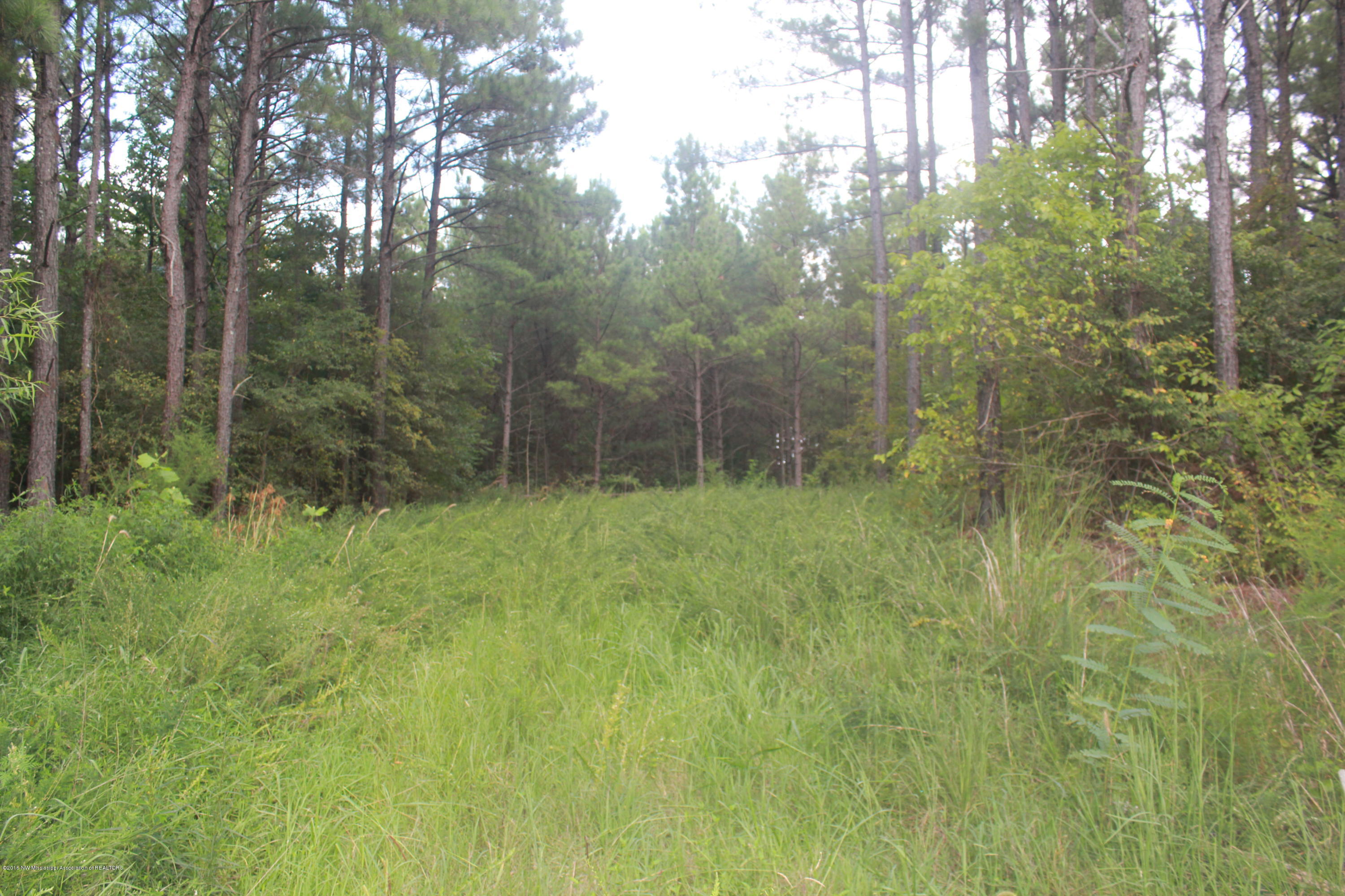 78 Springfield Road Senatobia, MS 38668 - Photo 2 of 30 135